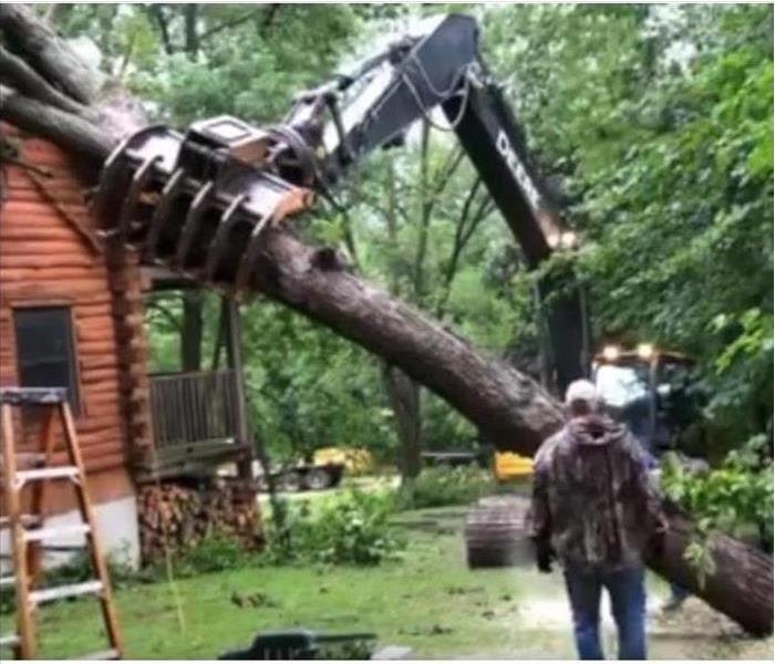 Tree Being Removed