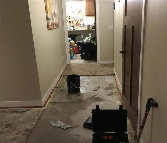 Wet basement floor.