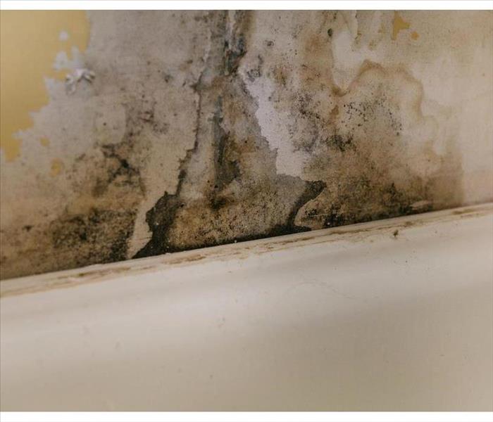 Wall covered with mold due to humidity