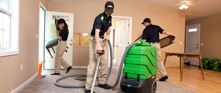 Oakdale, MN cleaning services